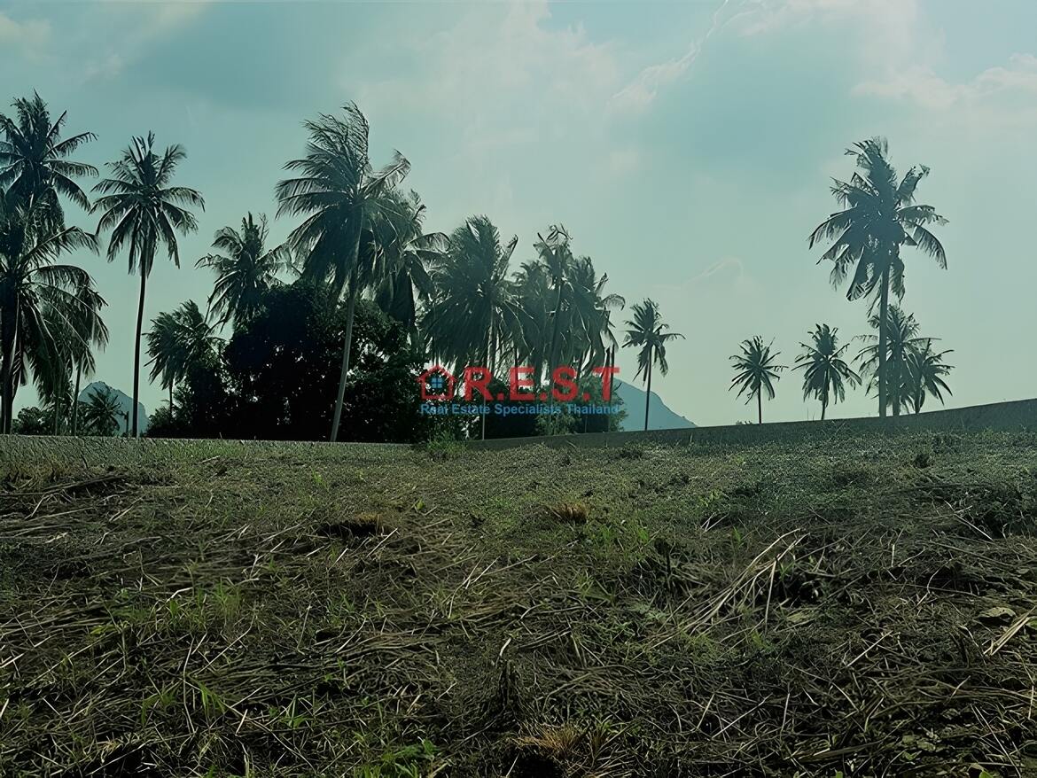Picture of Baan Ampur Land For sale