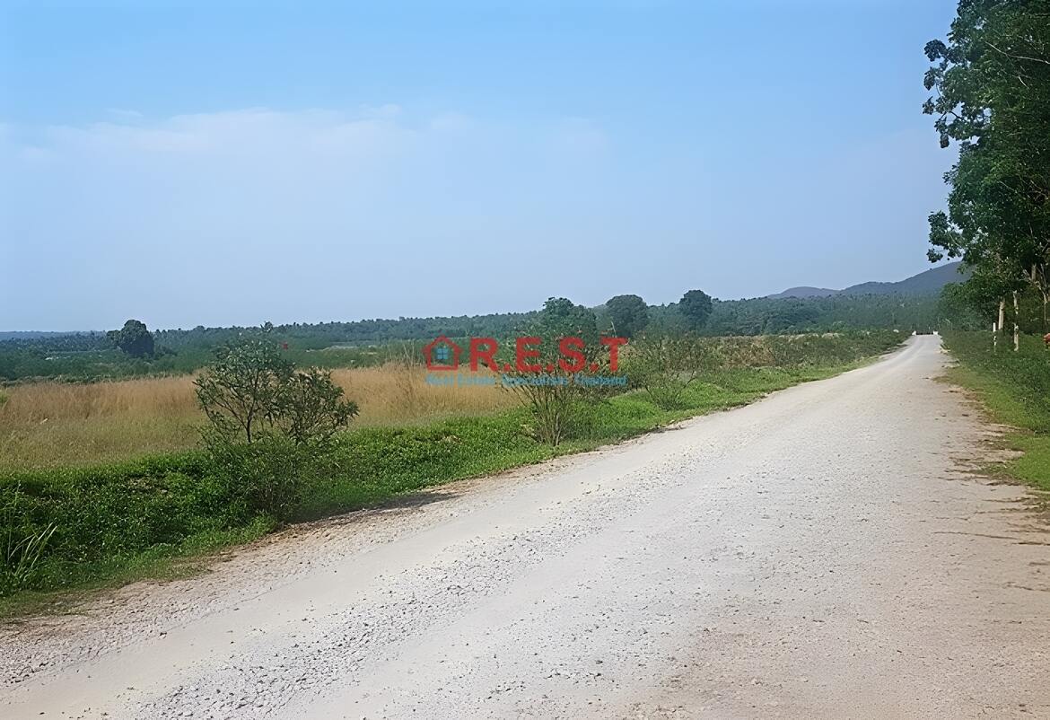 Baan Ampur Land For sale (3)